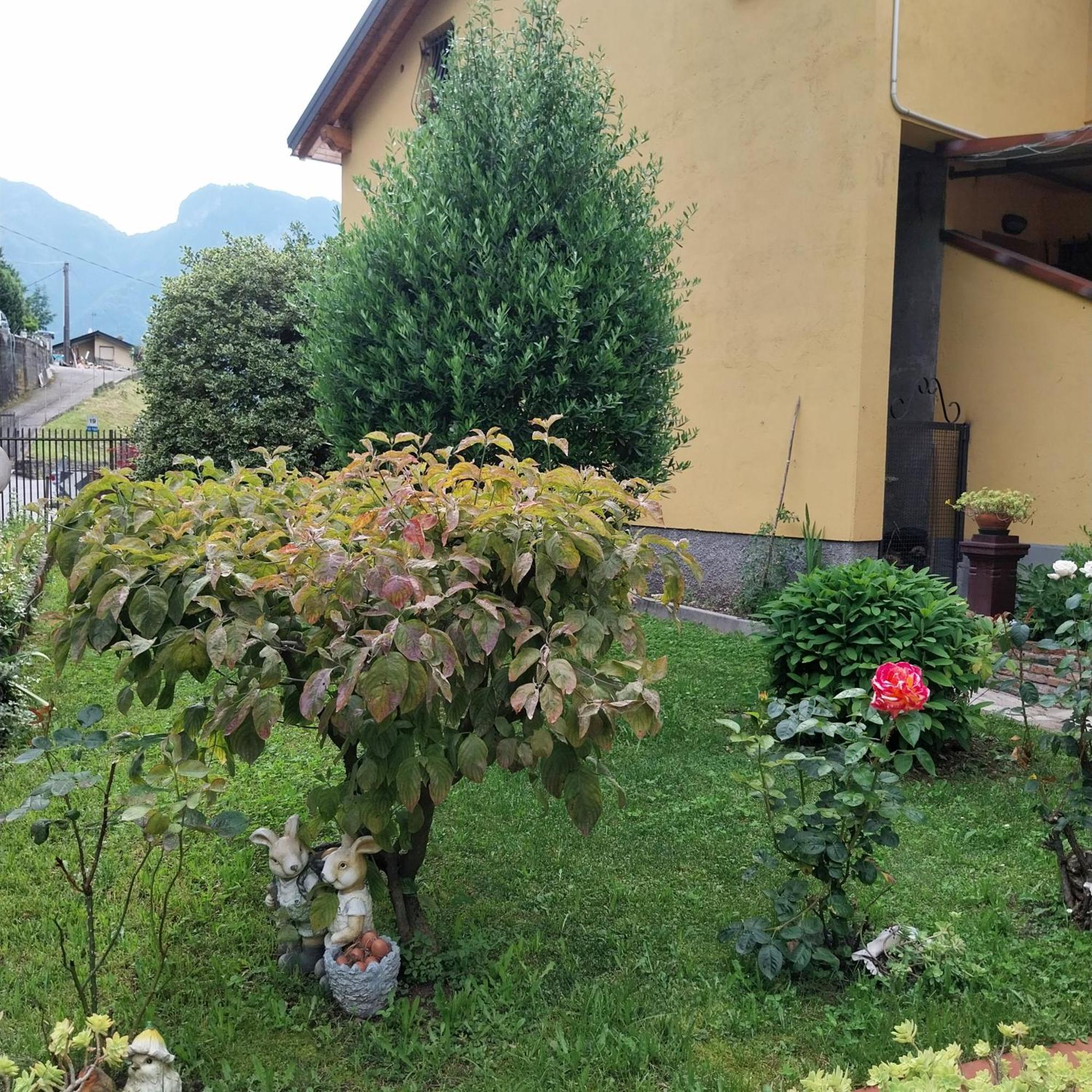 Ferienwohnung Casa Peppo Lezzeno Exterior foto
